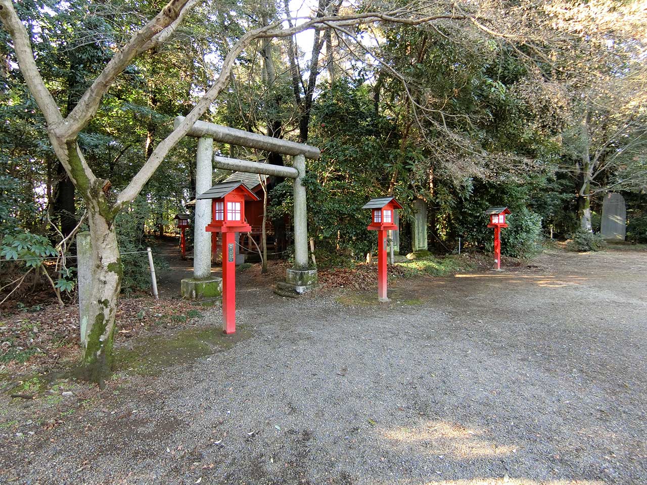 写真