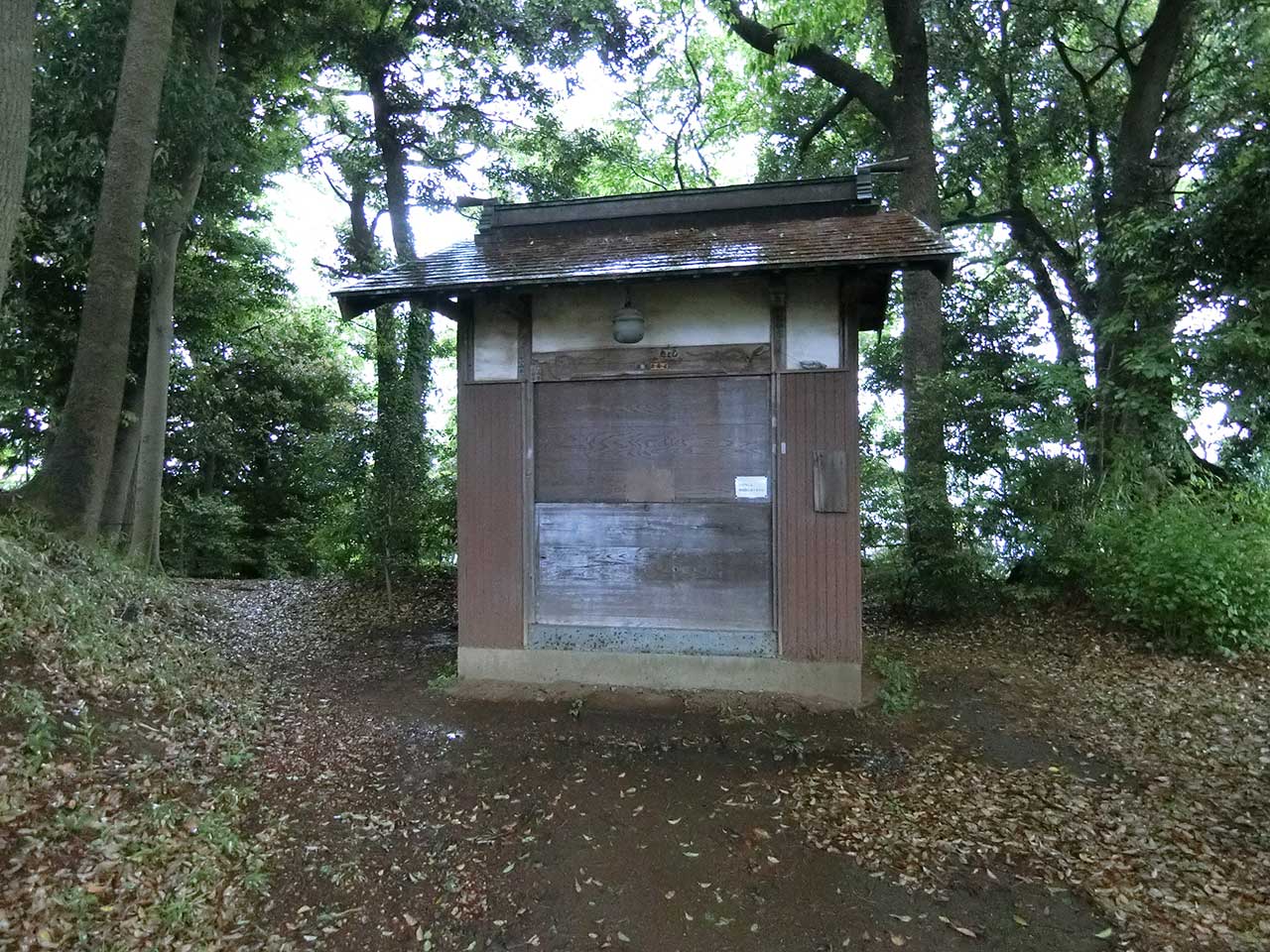 写真