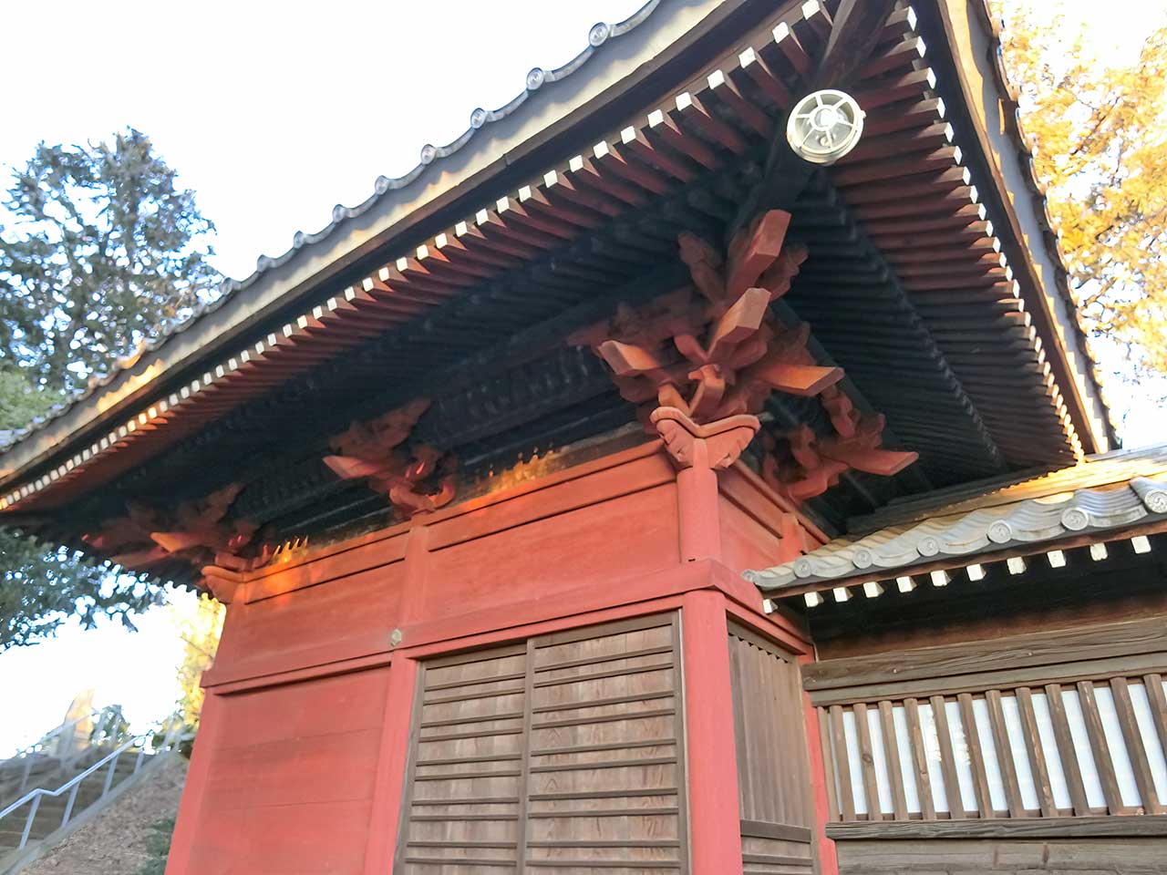 写真