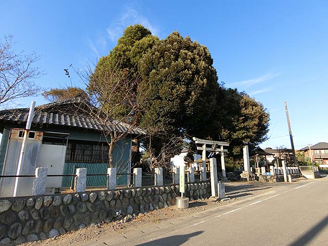 写真