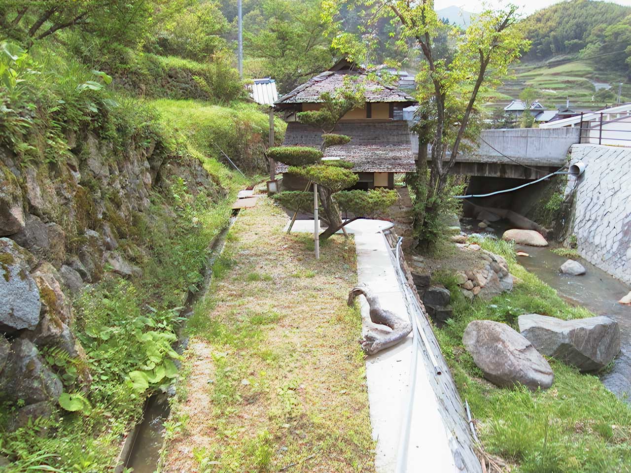 写真