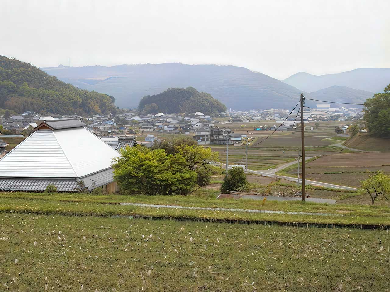 写真