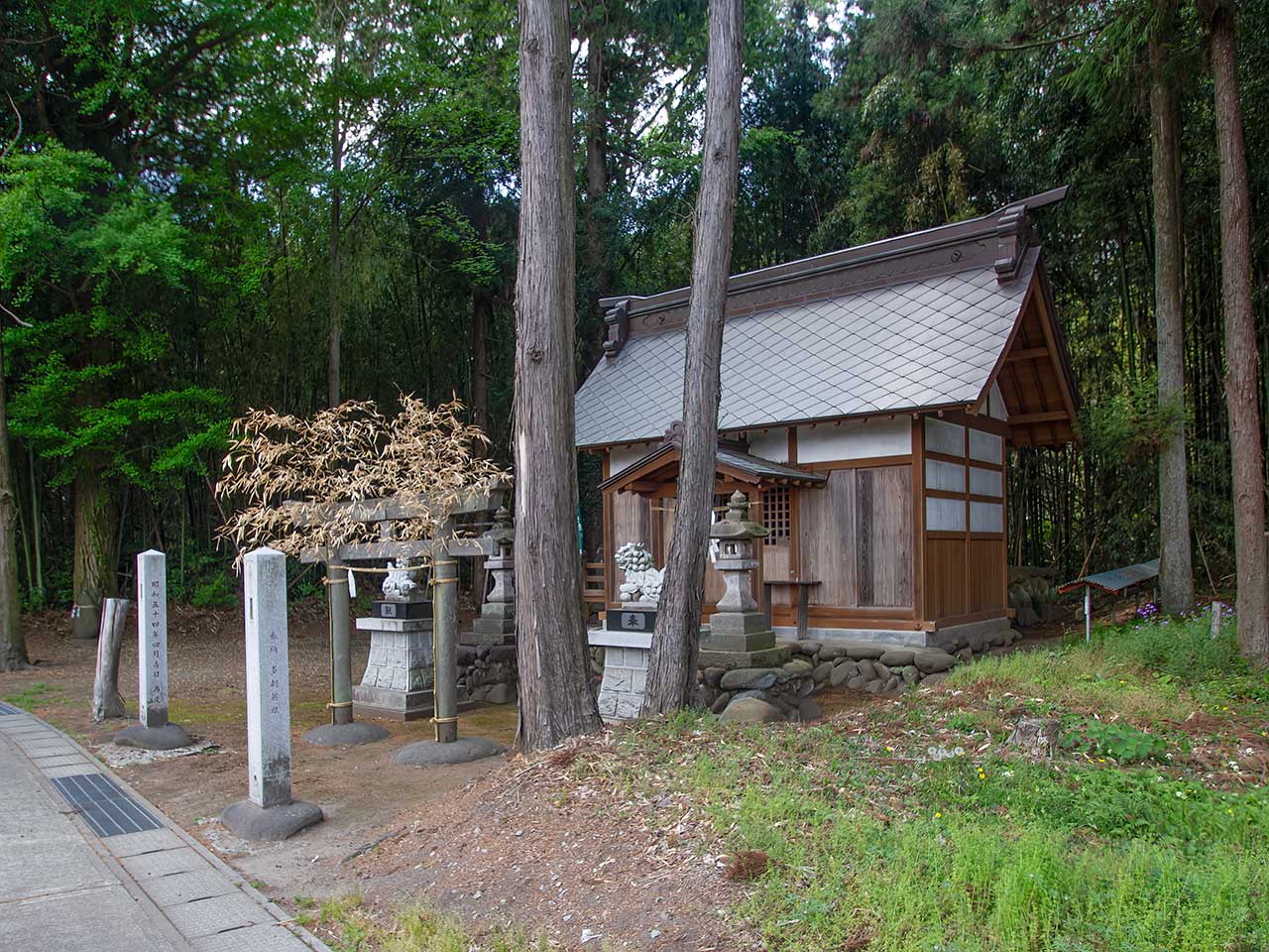 写真