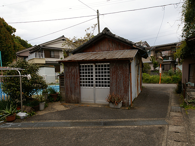 写真
