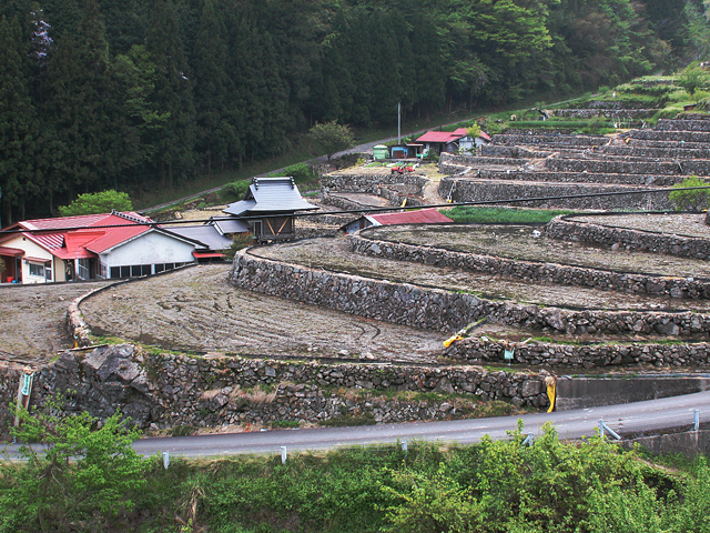 大井谷の棚田（島根県吉賀町柿木村白谷）- 日本すきま漫遊記