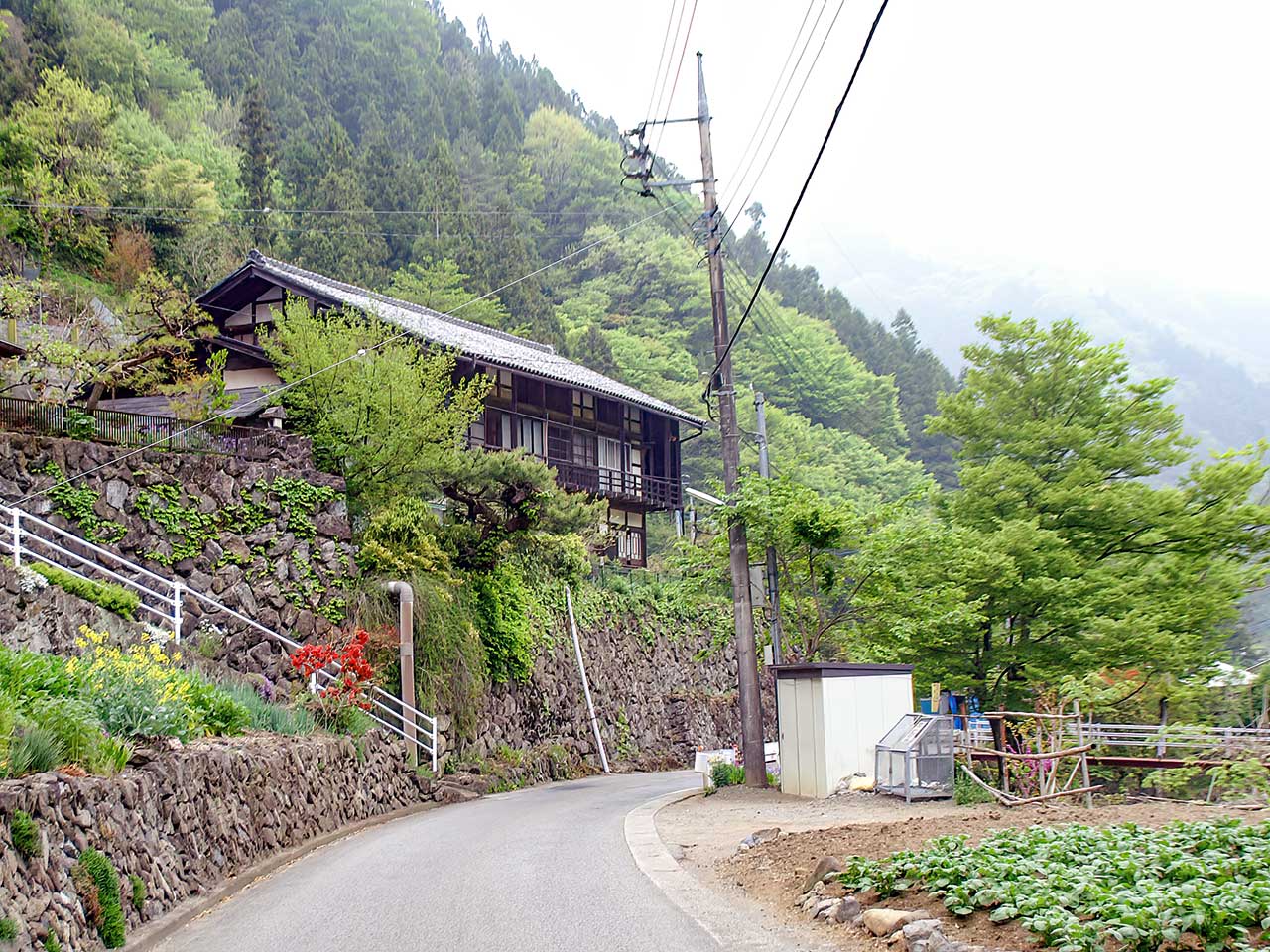 写真