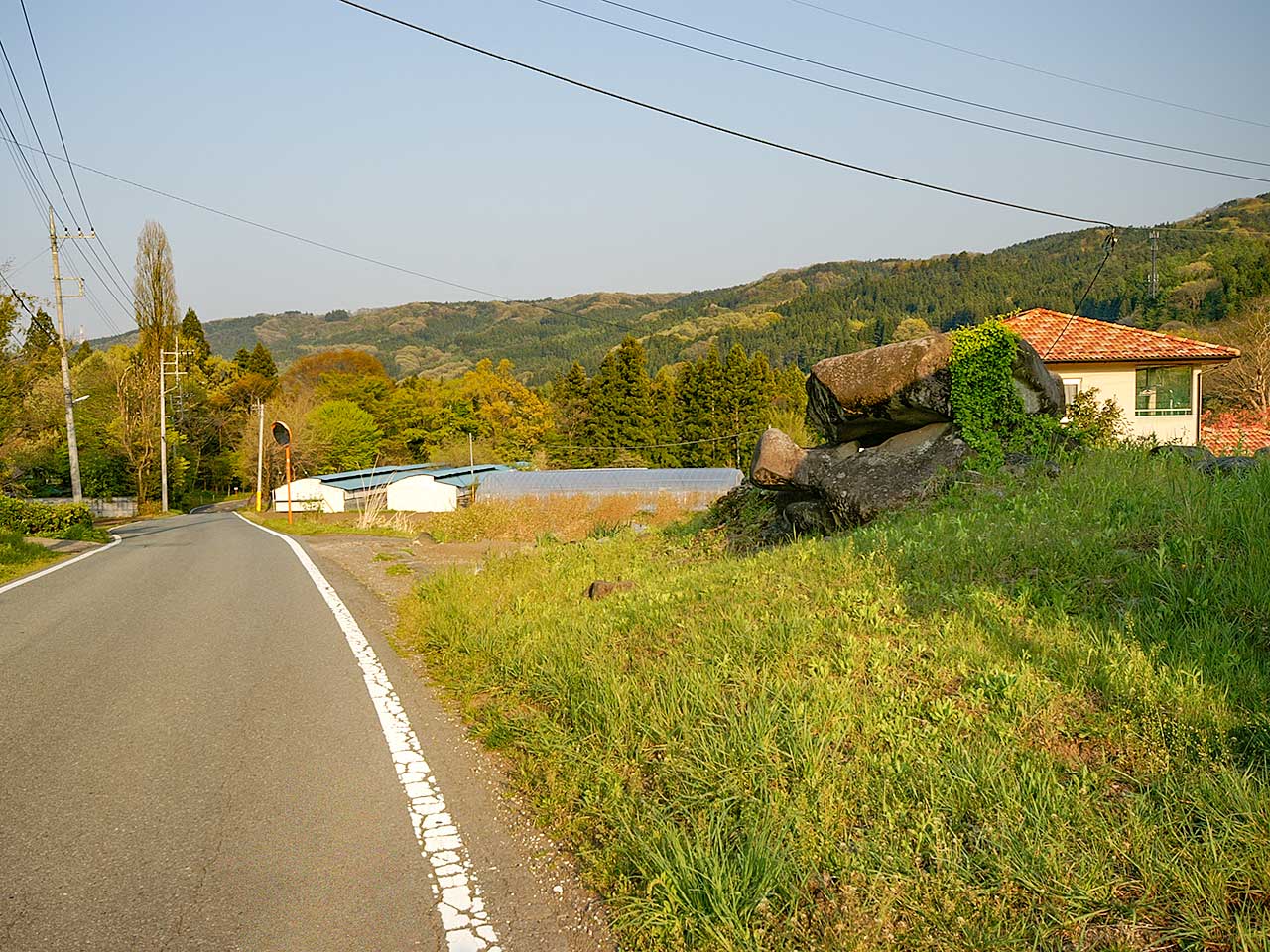 写真