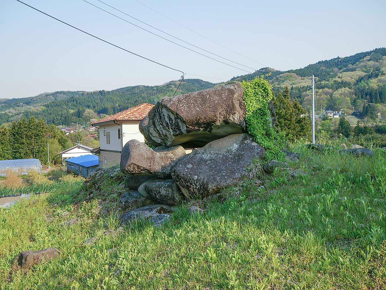 写真