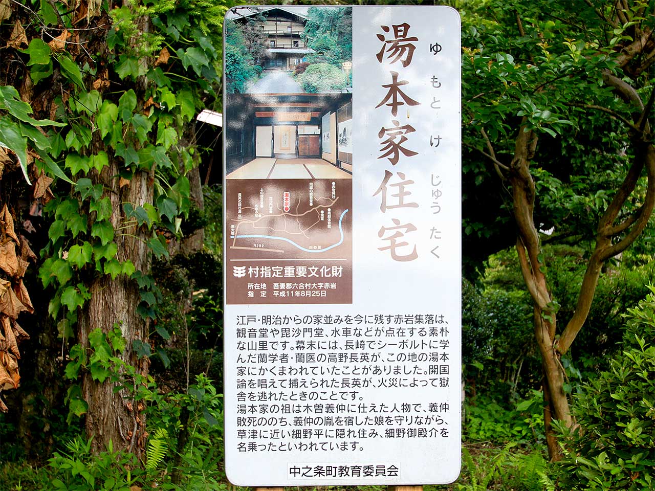 写真