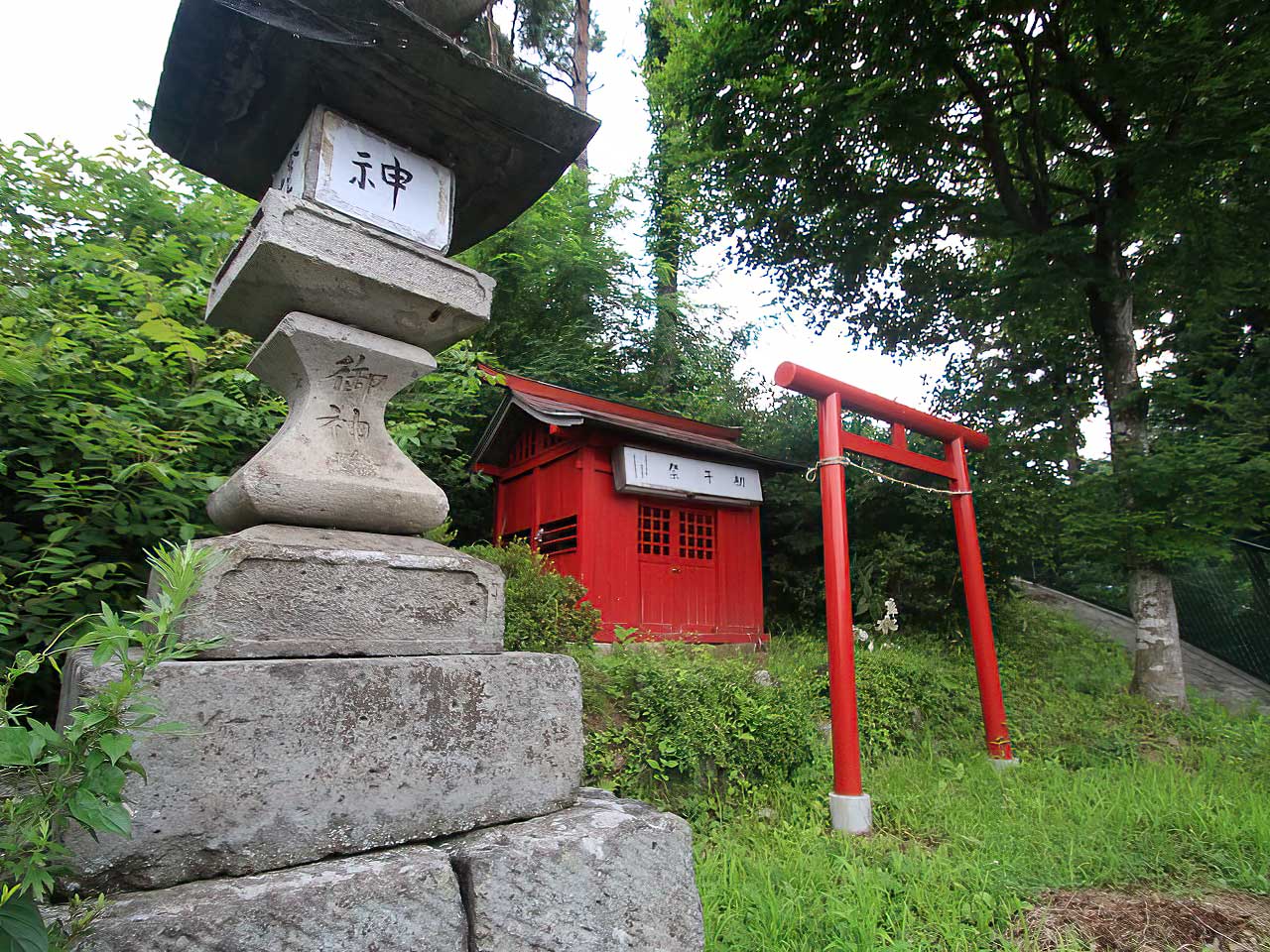 写真