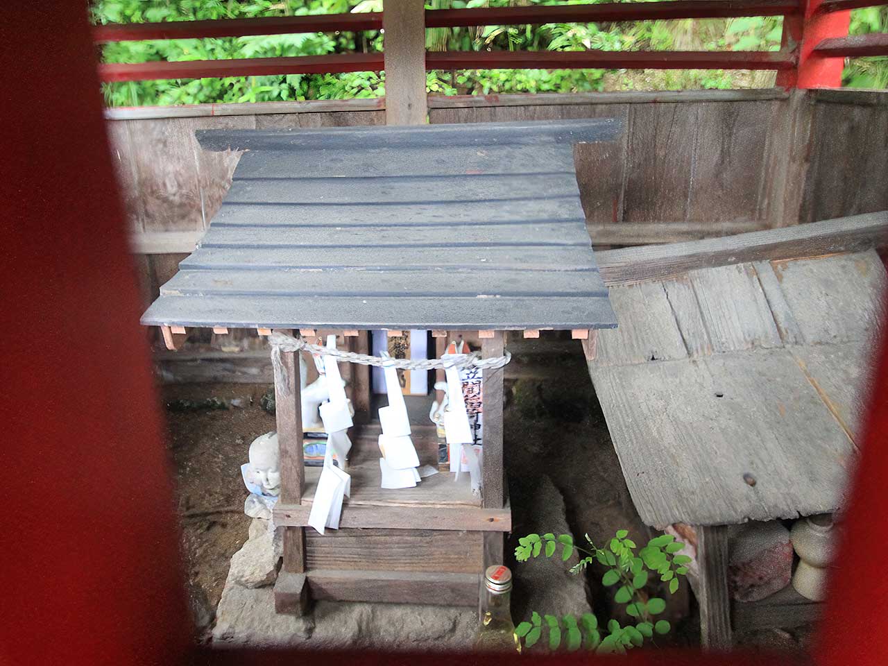 写真