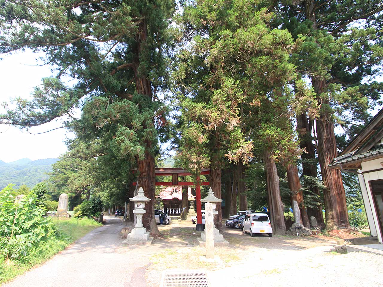 写真