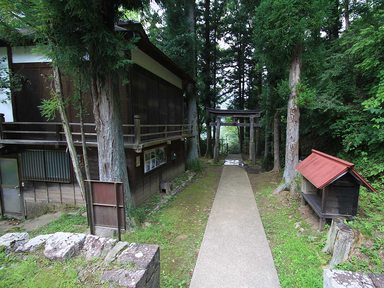 写真