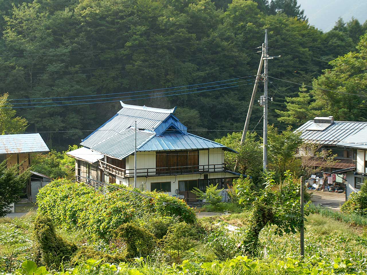 写真