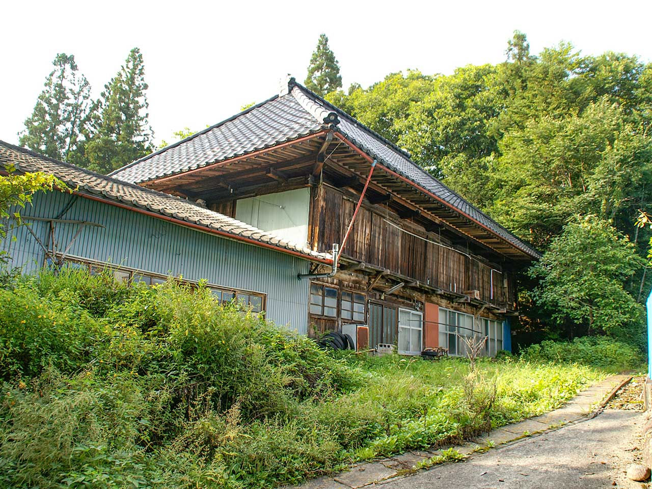 写真