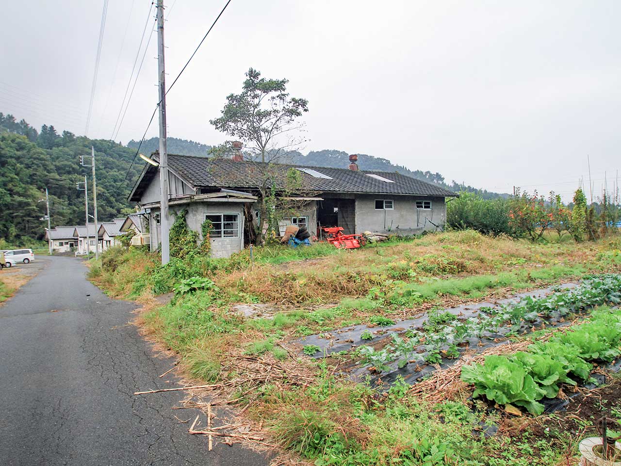 写真