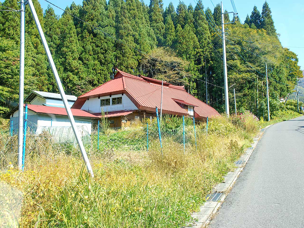 写真