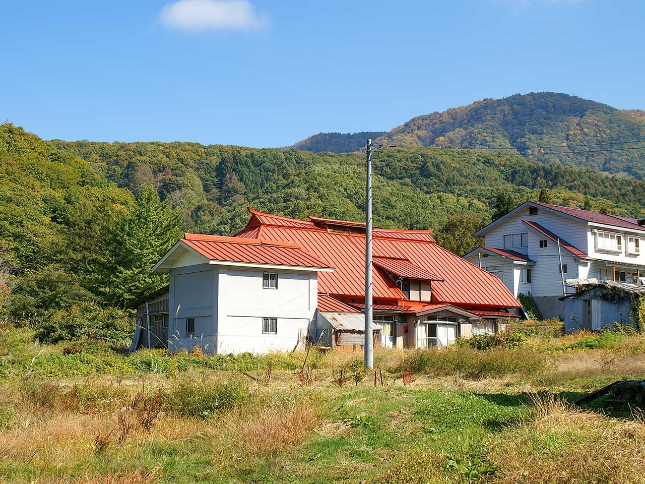 写真