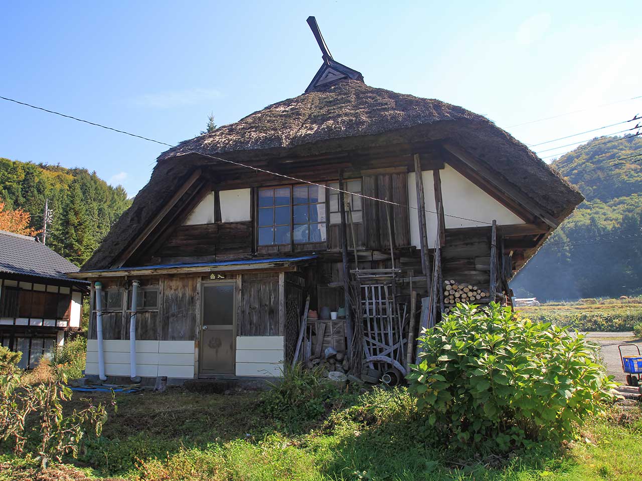 写真
