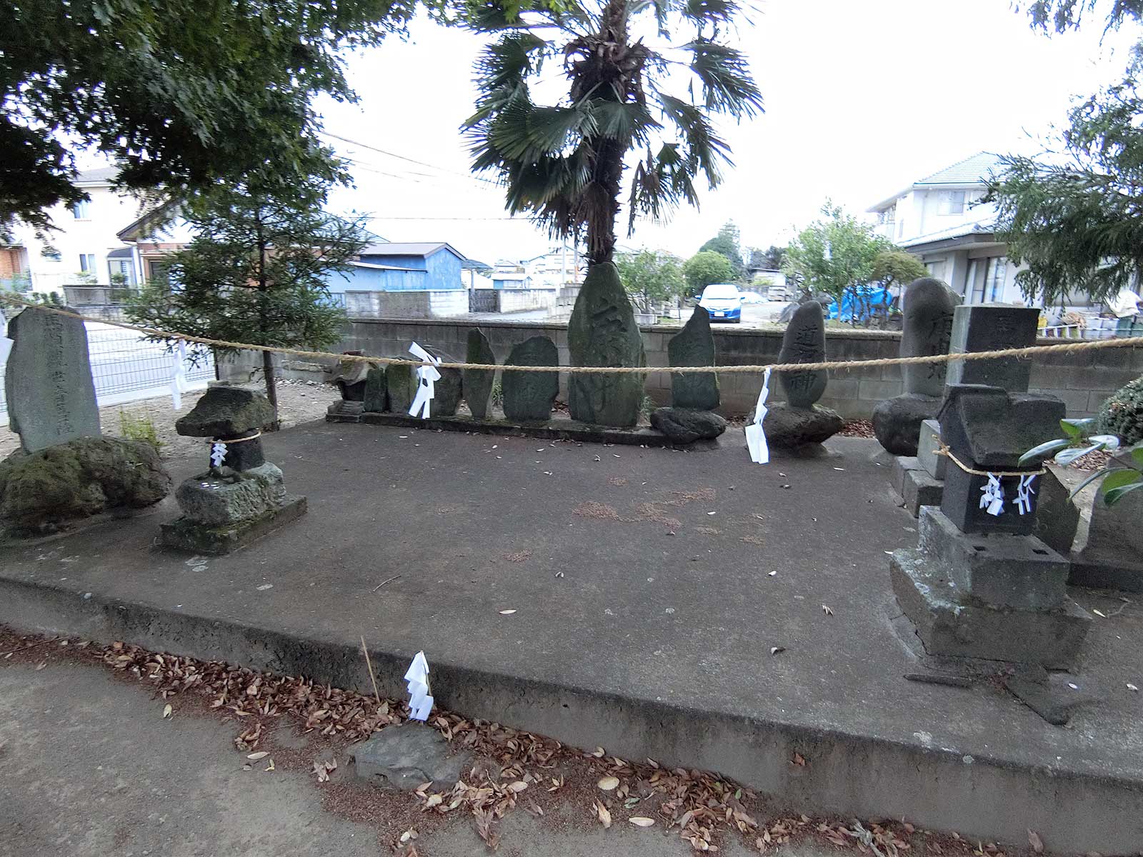 写真