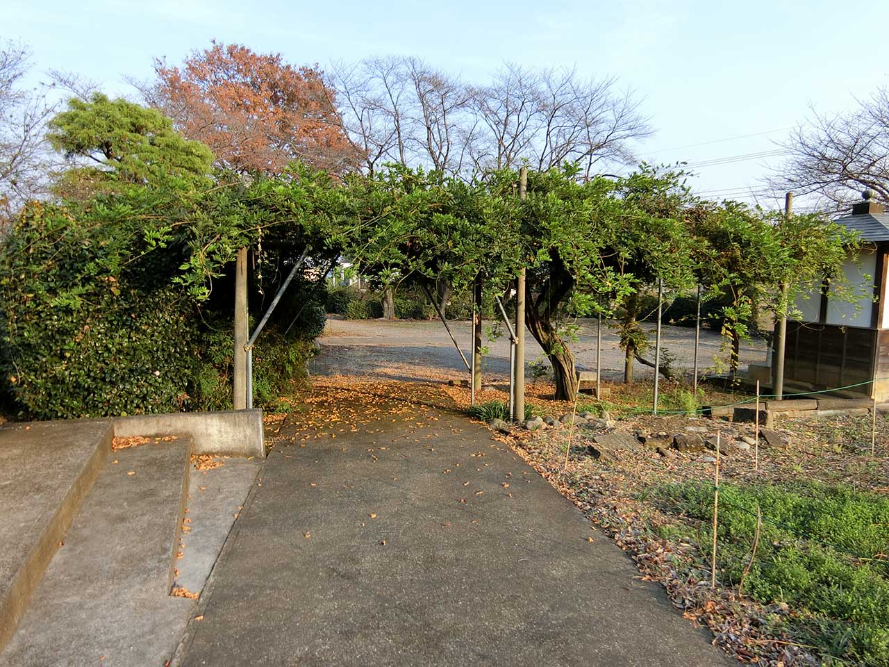 写真