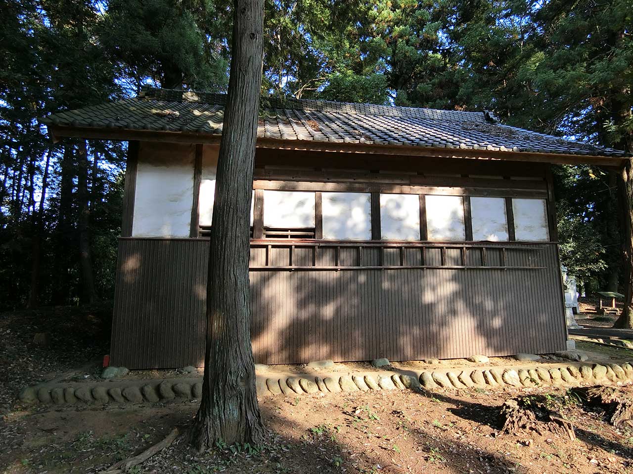 写真
