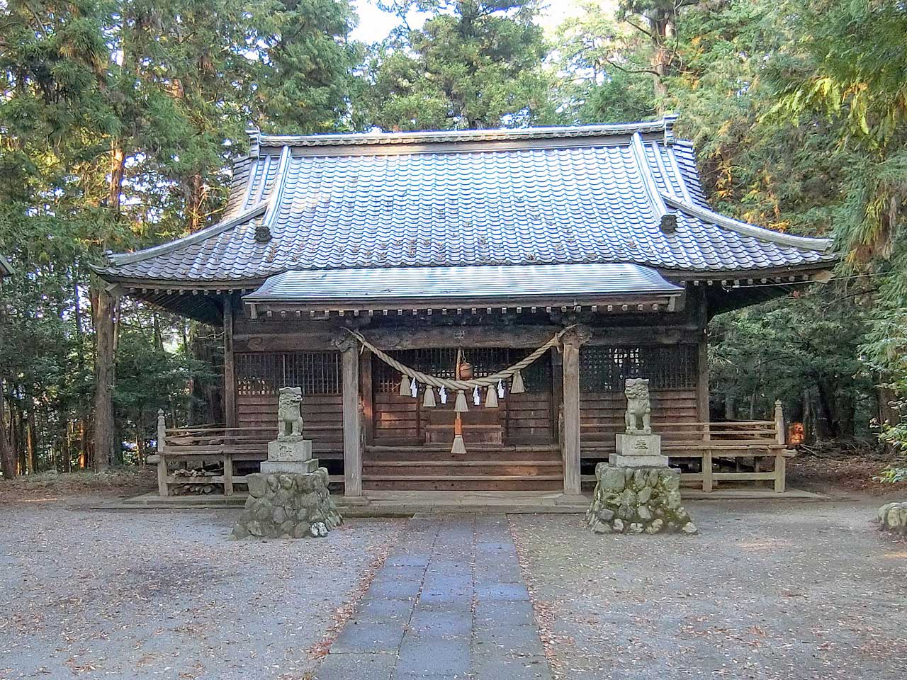 写真