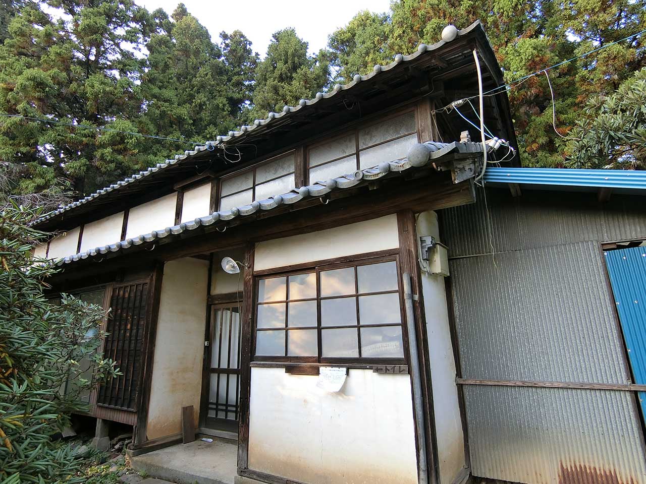 写真