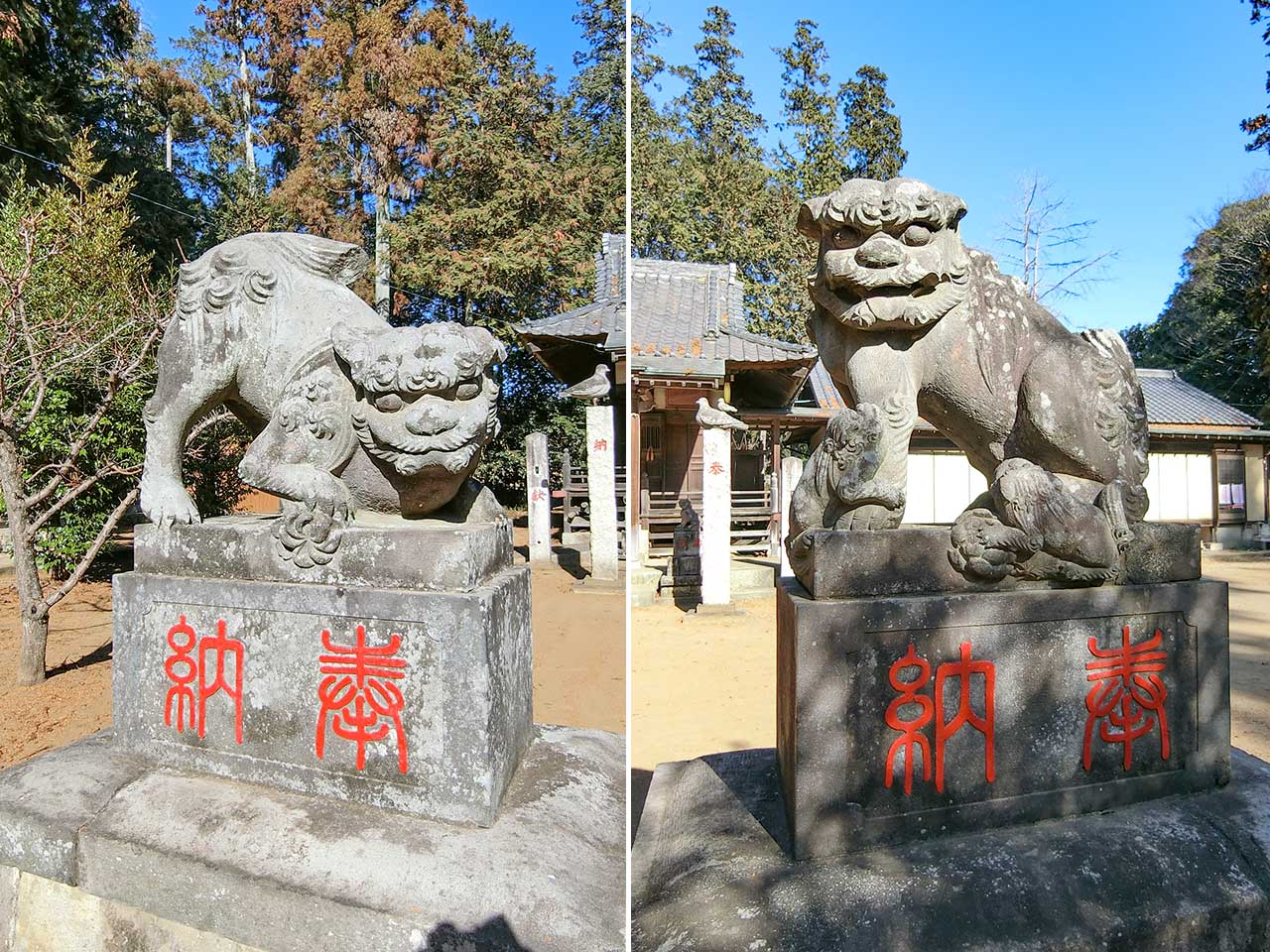 写真
