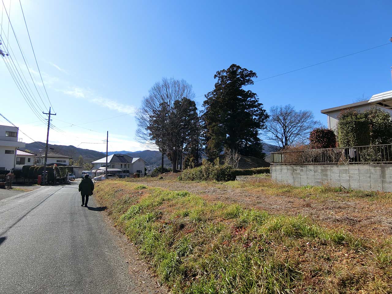 写真