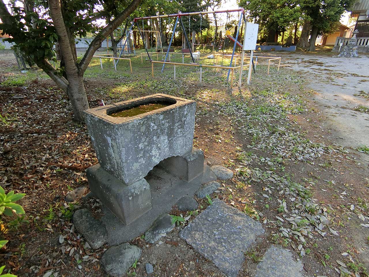 写真