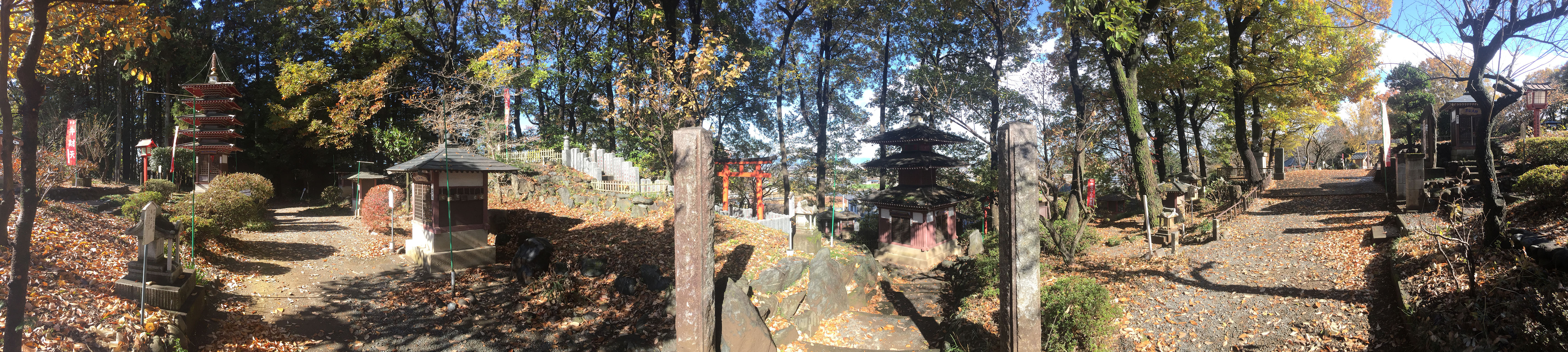写真