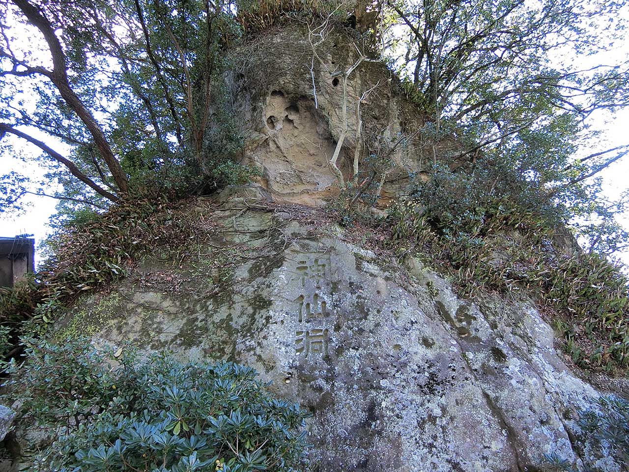 写真