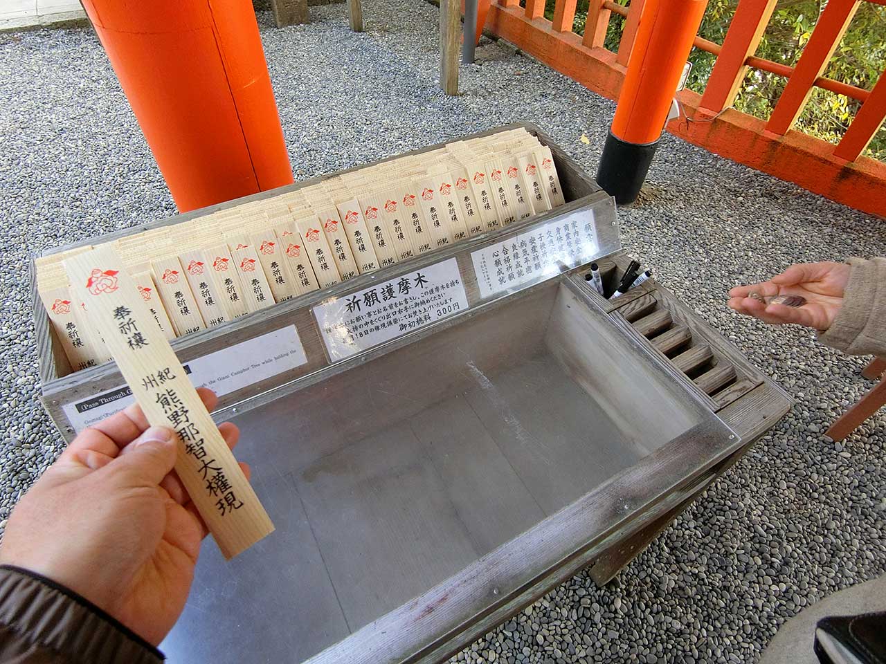 写真