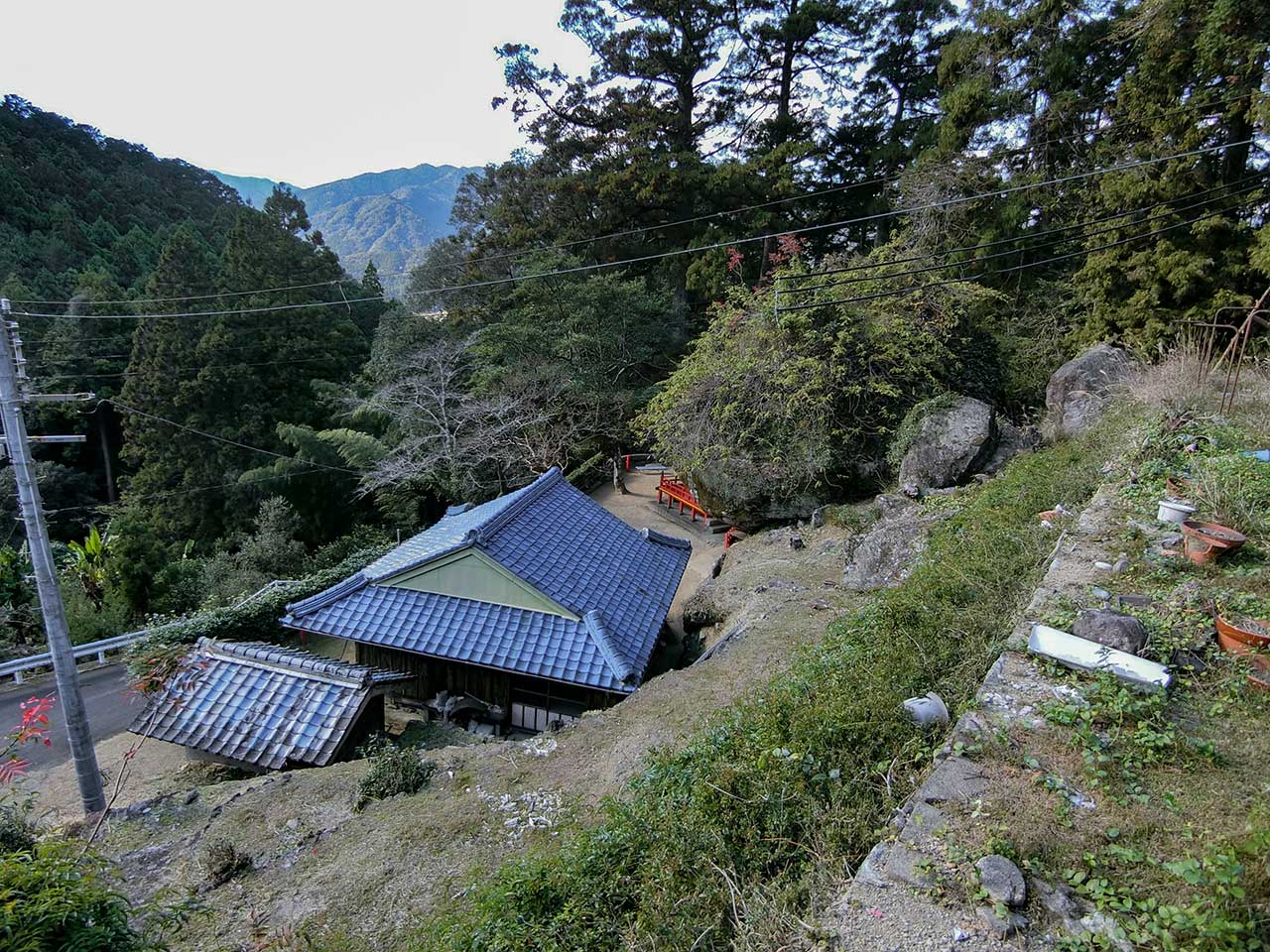 写真