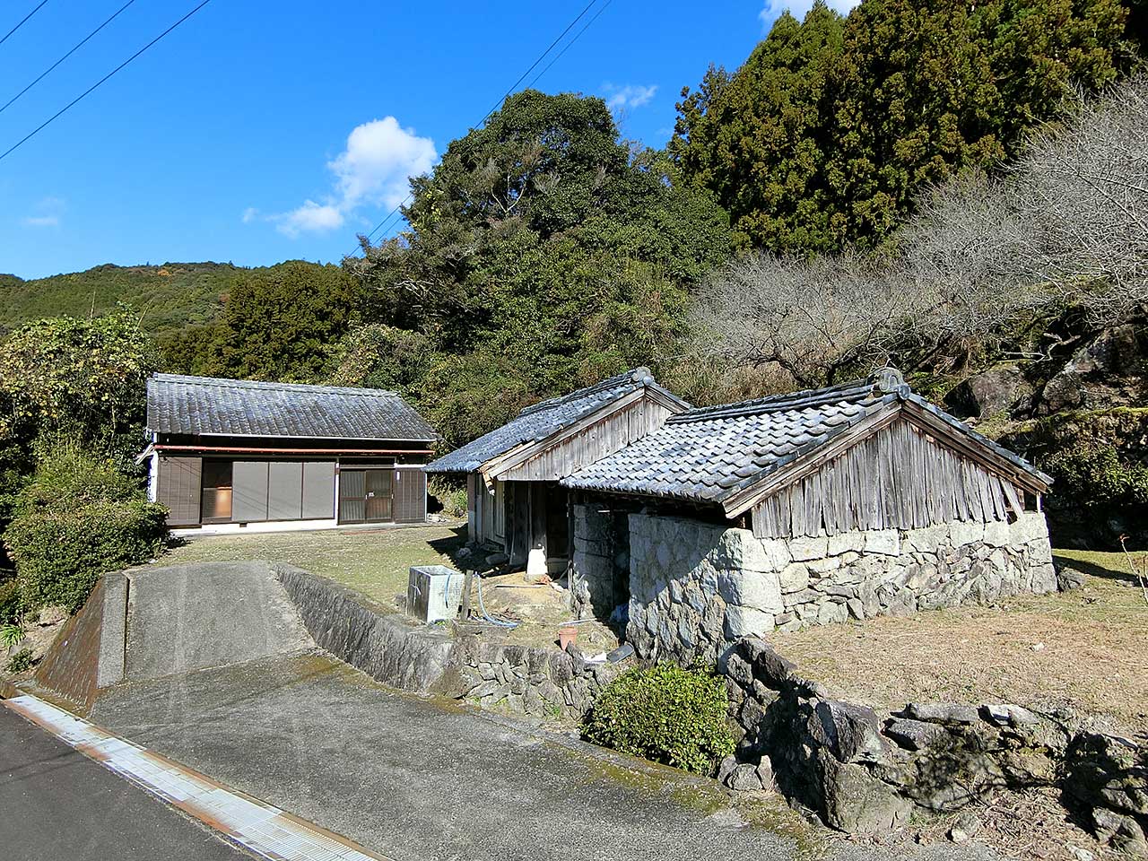 写真