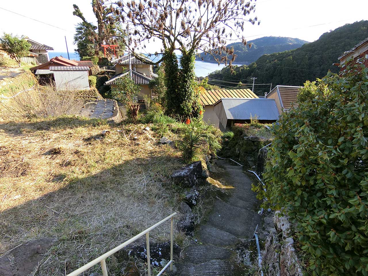 写真