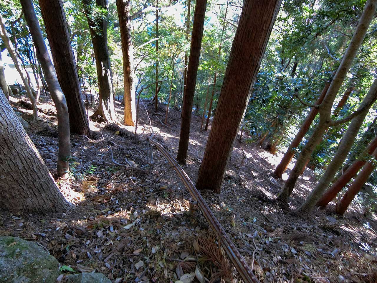写真