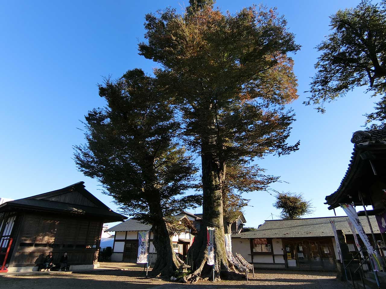 写真