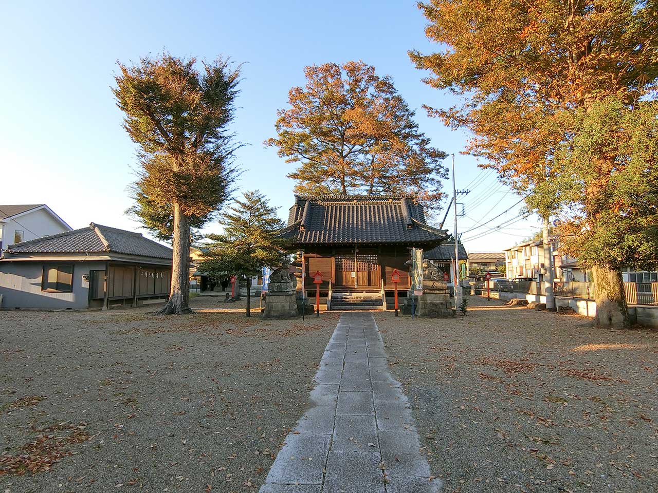 写真