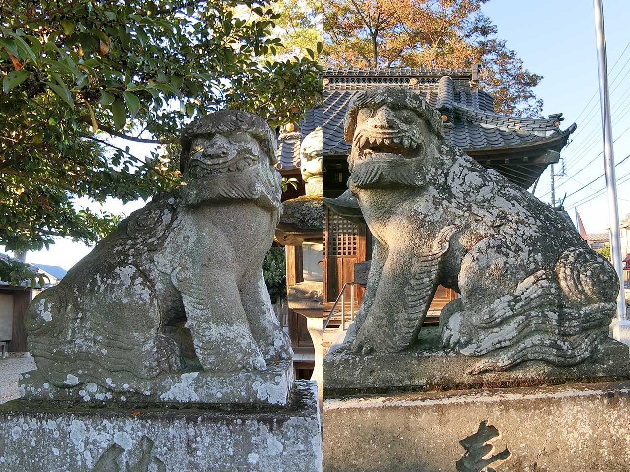 写真