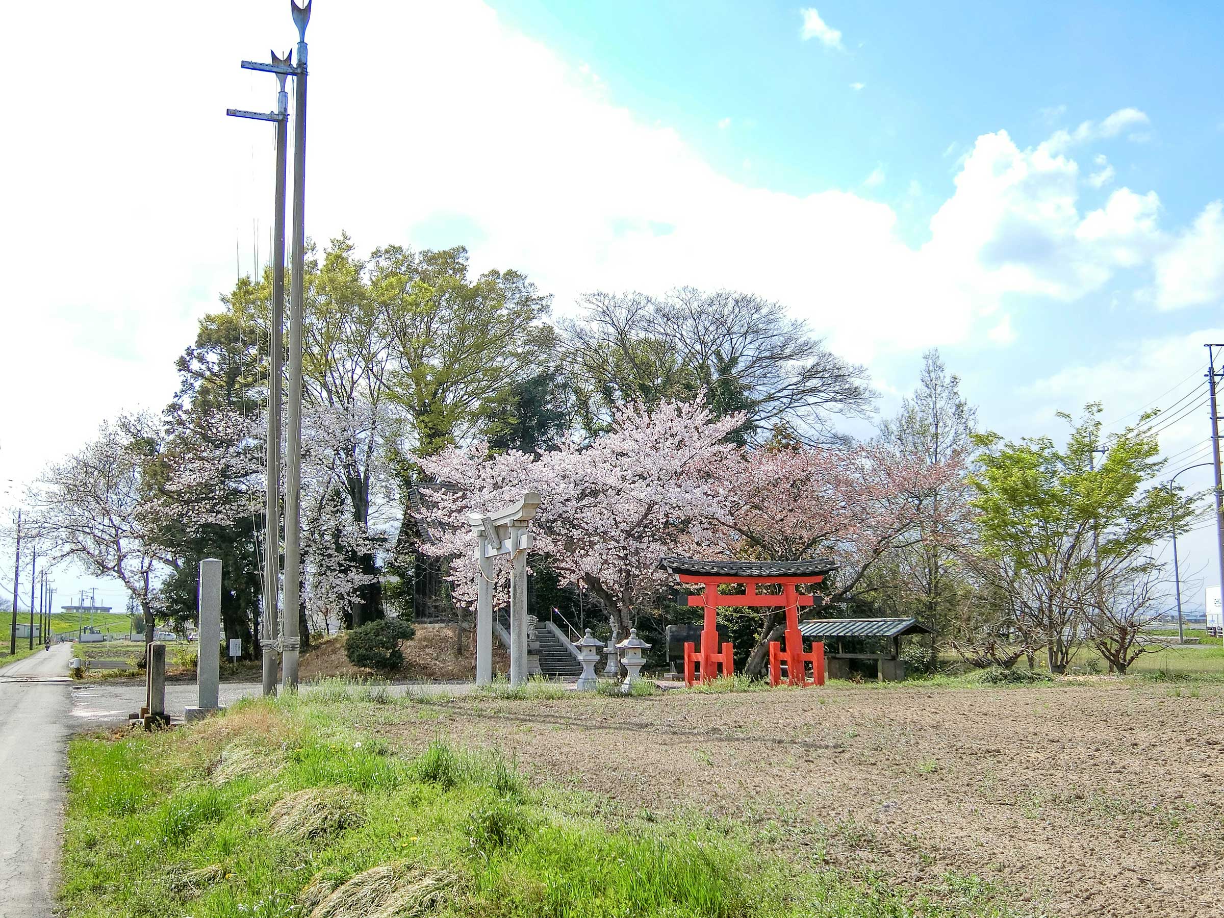 写真