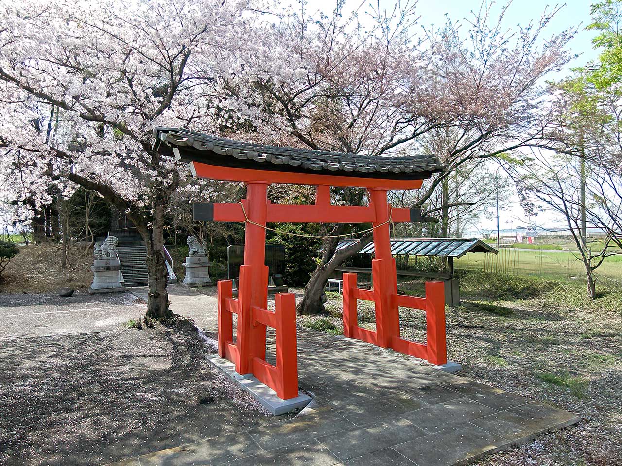 写真