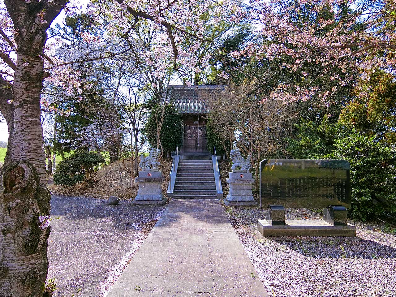 写真