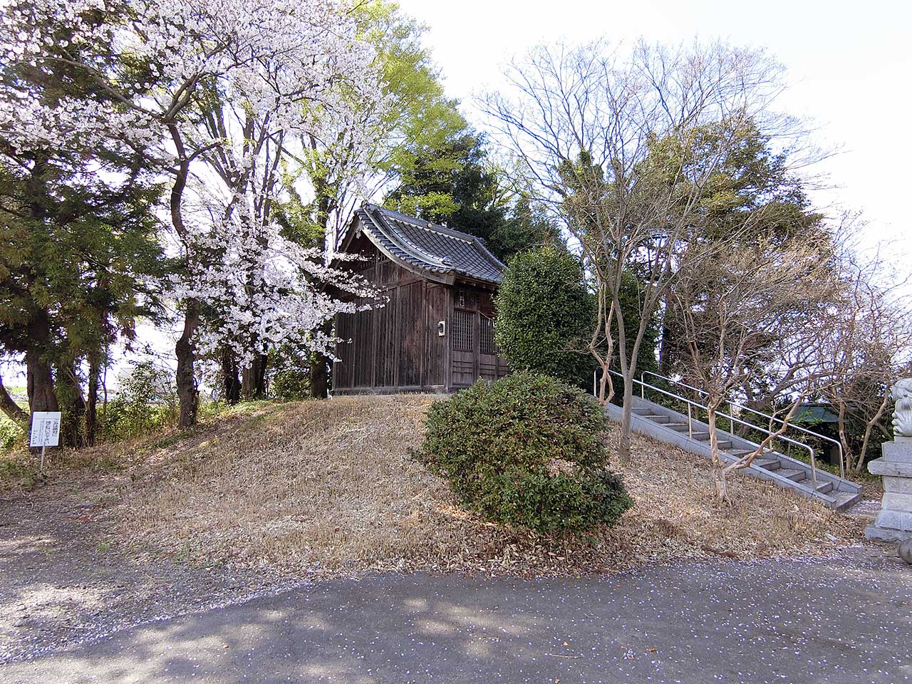 写真