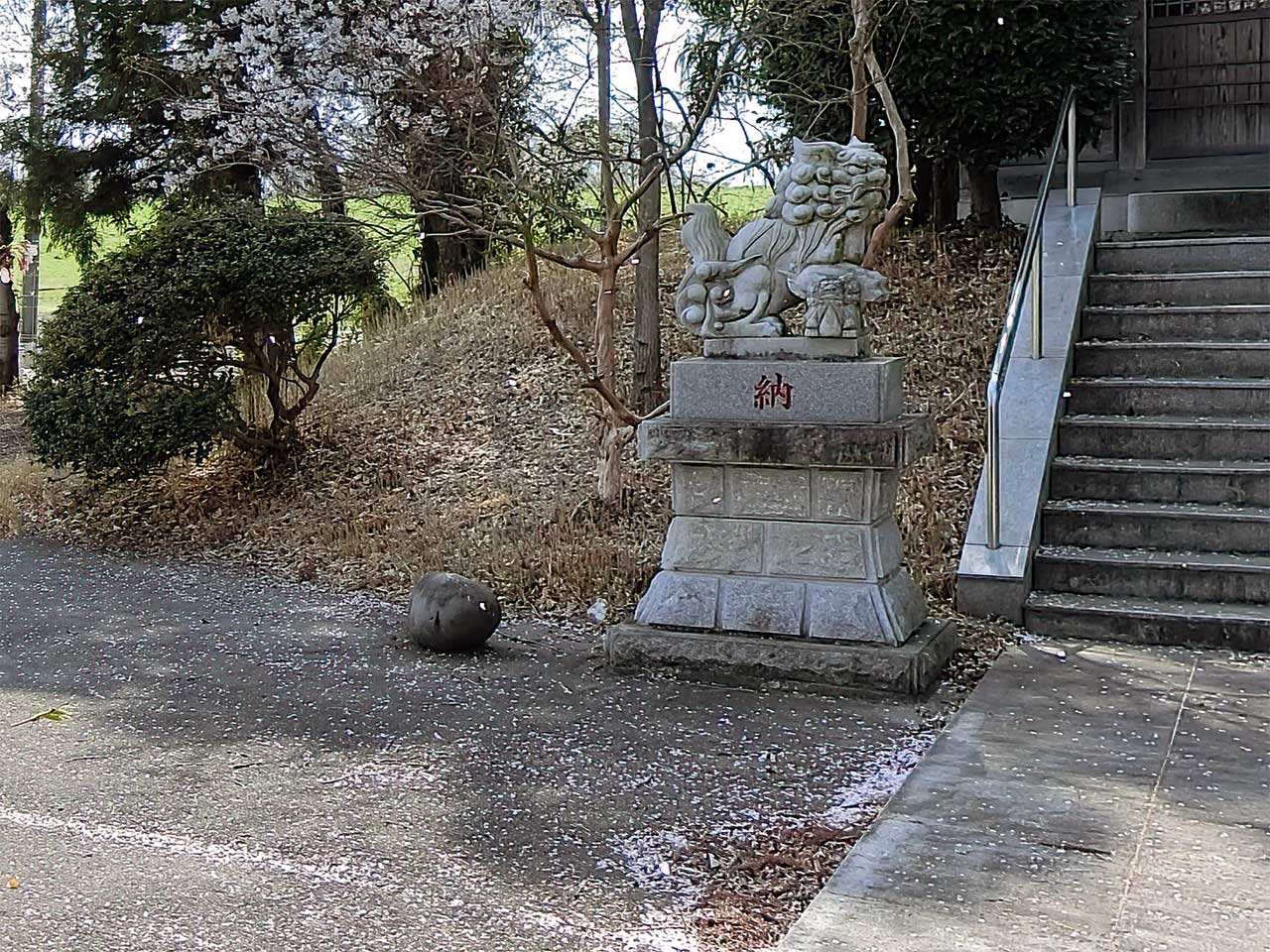 写真