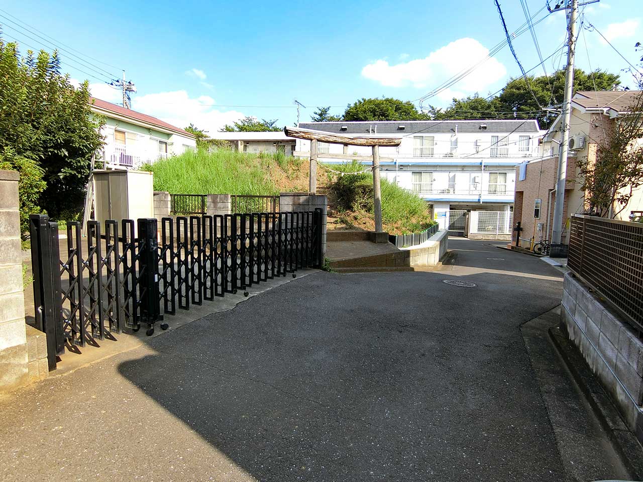写真