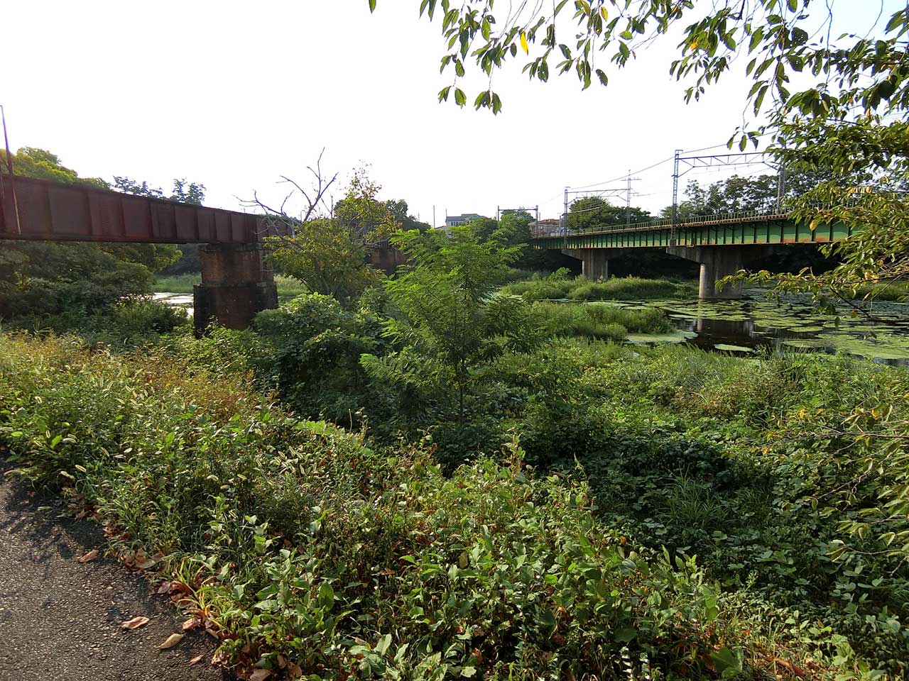 写真