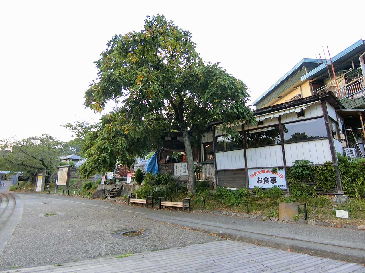写真