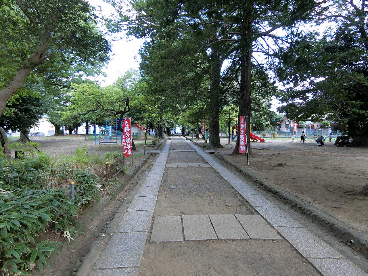 写真